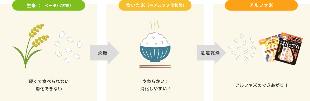 生米（＝ベータ状態）、炊飯、炊いた米（＝アルファ化状態）、急速乾燥、アルファ米